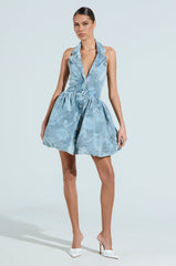 DAISY PRINTED DENIM MINI DRESS