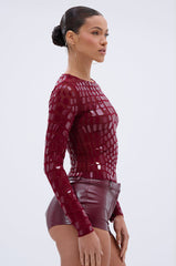 CAN SEE RIGHT THROUGH YOU MESH LONG SLEEVE TOP