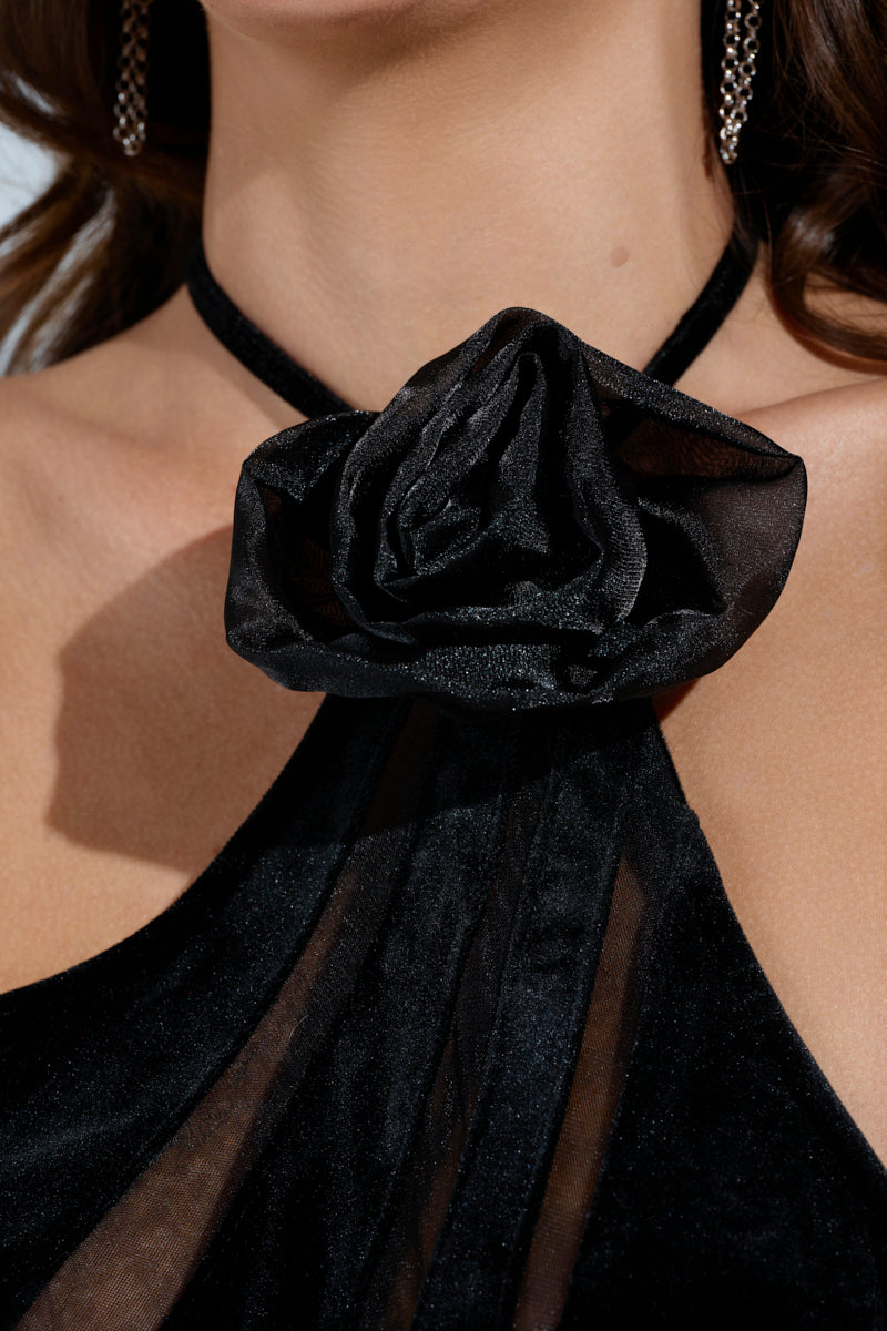 SEE THROUGH ME MAXI DRESS