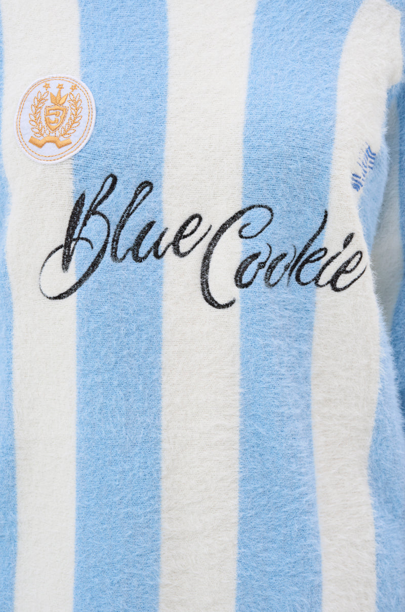 COZY AND CUTE FUZZY JERSEY