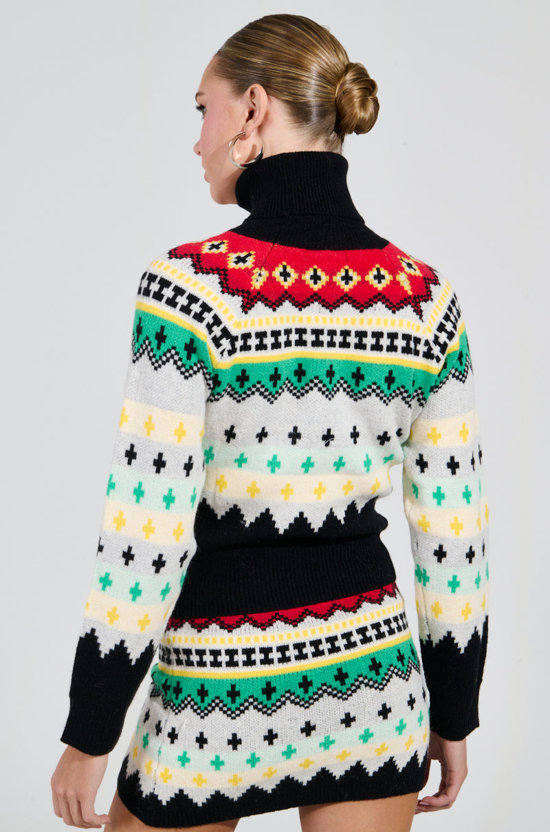 AT THE SLOPES FITTED TURTLENECK SWEATER