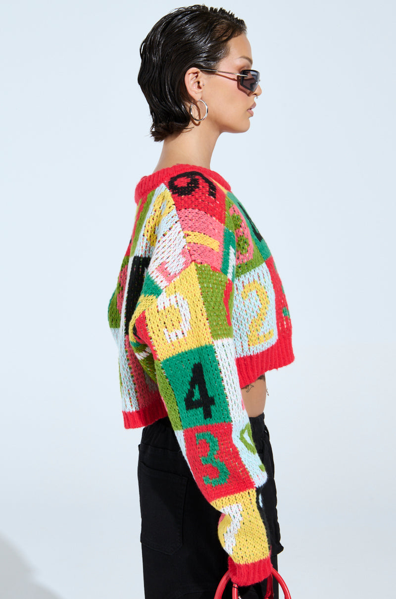 TOO MANY NUMBERS SWEATER