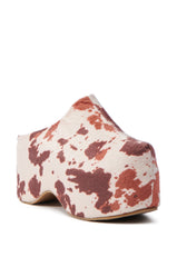 AZALEA WANG TEATREE COW CLOG