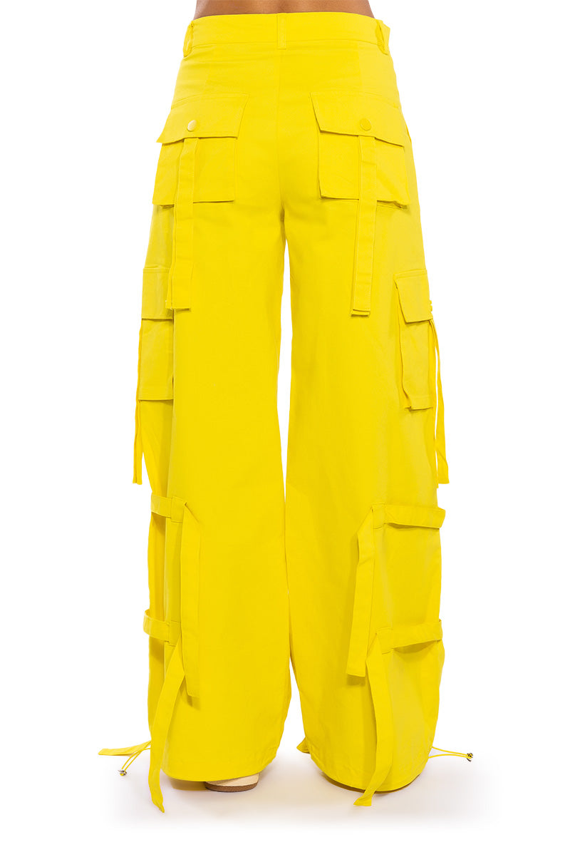 IT IS BACK CARGO PANTS